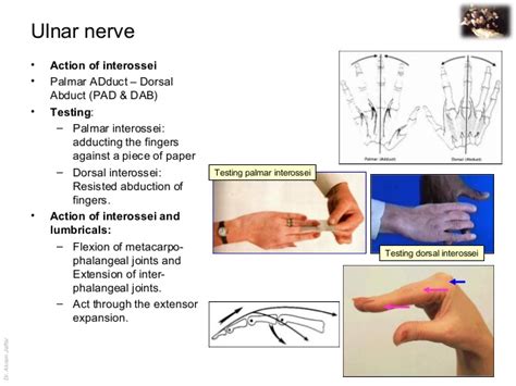 ulnar nerve function test